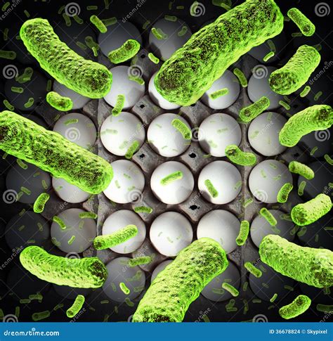 chances of salmonella from raw egg|Salmonella infection .